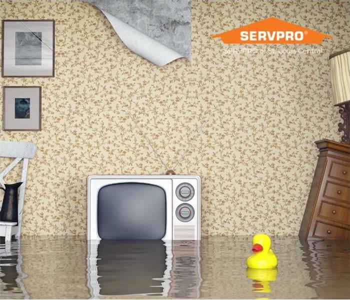 a flooded living room with a floating rubber duck in the water